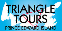 Triangle Tours Logo