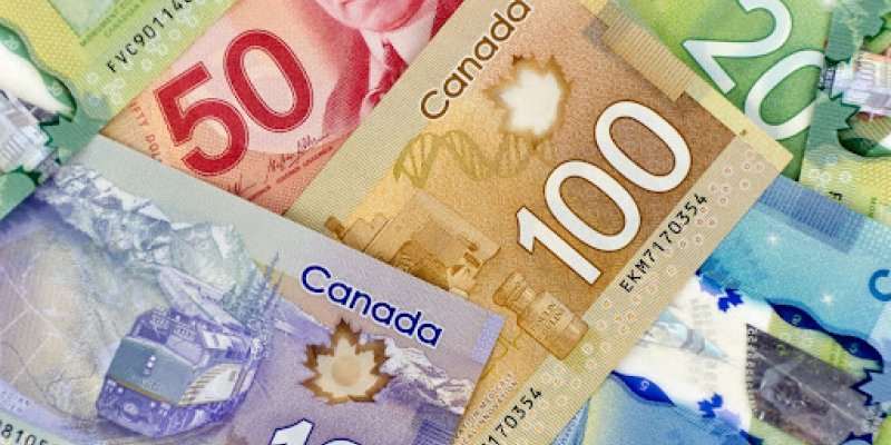 Canadain Currency showing dollar values