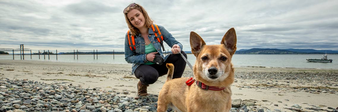 Dog on beach