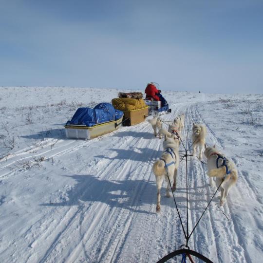 Arctic Chalet Tours