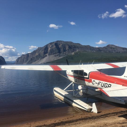 Goose Flying Service