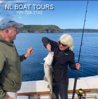 Catching a cod with NL Boat Tours